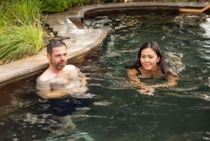 Mornington Peninsula Tour: wildlife, wine, art & hot springs