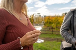 Mornington Peninsula Tour: wildlife, wine, art & hot springs