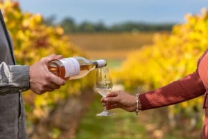 Mornington Peninsula Tour: wildlife, wine, art & hot springs