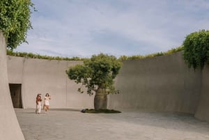 Mornington Peninsula Tour: wildlife, wine, art & hot springs