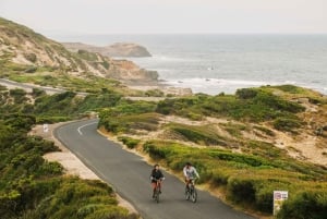 Mornington Peninsula Tour: wildlife, wine, art & hot springs