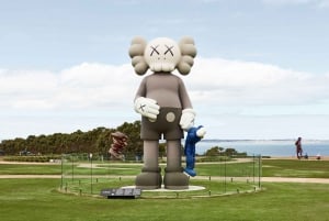 Mornington Peninsula Tour: wildlife, wine, art & hot springs