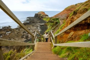 Mornington Peninsula-tur: dyreliv, vin, kunst og varme kilder