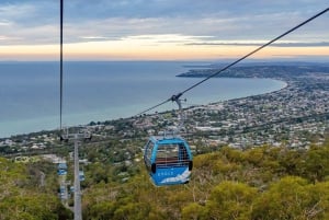 Mornington Peninsula-tur: dyreliv, vin, kunst og varme kilder