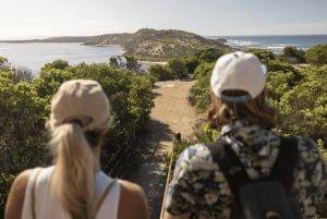 Mornington-halvøen: Transport, mad- og vintur