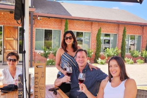 Mornington-halvøen: Transport, mad- og vintur