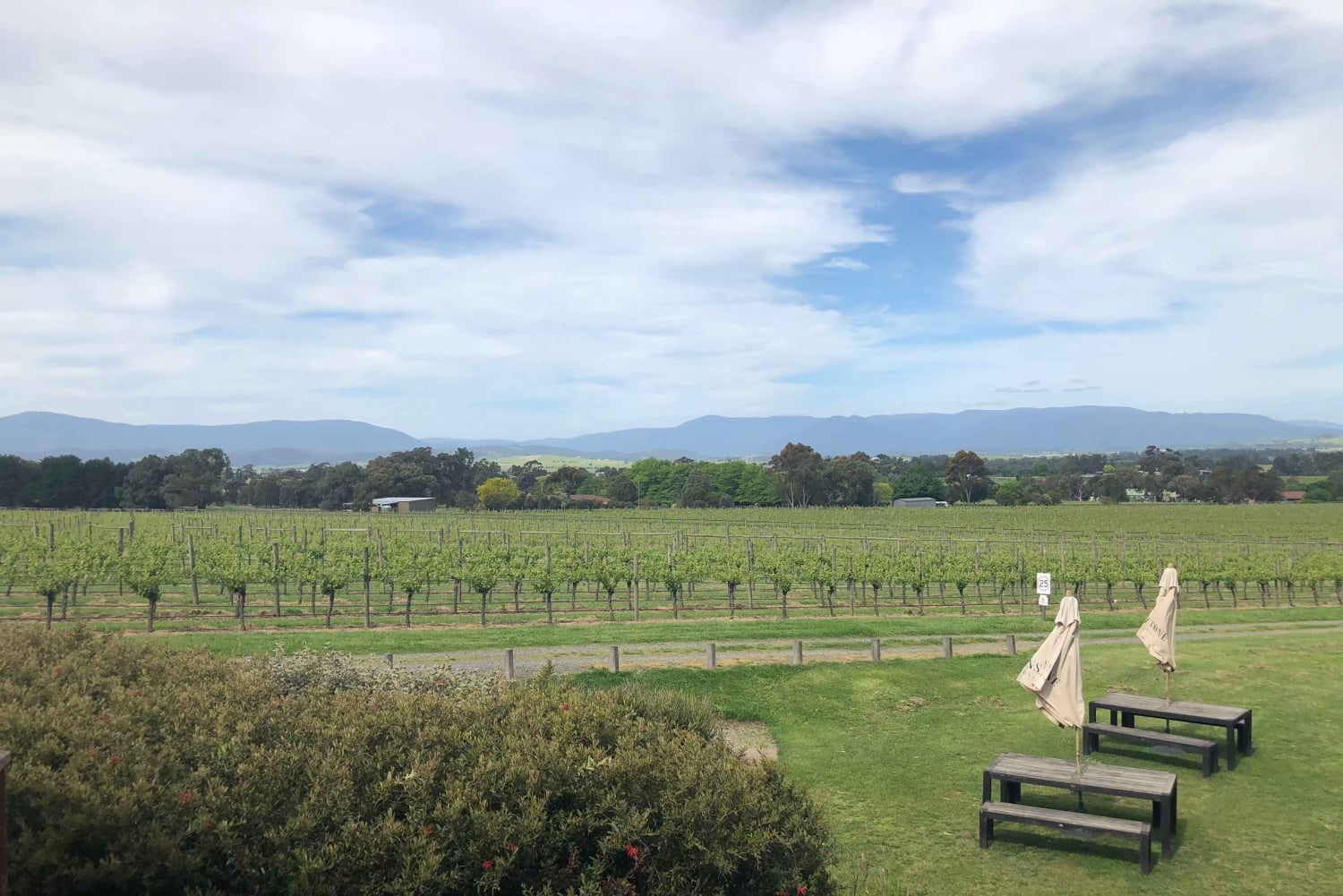 Mornington Peninsula Winery Bus Tour with Lunch & Wine