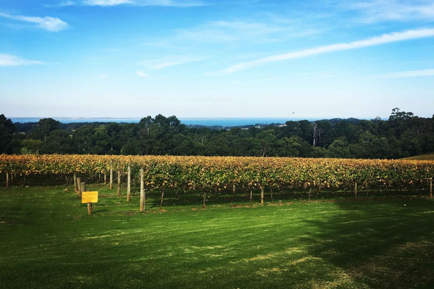 Mornington Peninsula Winery Bus Tour with Lunch & Wine