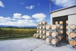 Mornington Peninsula Winery Bus Tour with Lunch & Wine