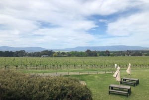 Mornington Peninsula Winery Bus Tour with Lunch & Wine
