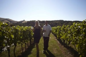 Best wineries on the Mornington Peninsula