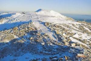 Mount Buller Snowfields Full-Day Trip from Melbourne