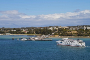Oceans to Islands: 2-Day Ocean Road & Phillip Island Tour
