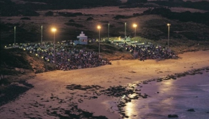 Best Penguin Parade tours to Phillip Island