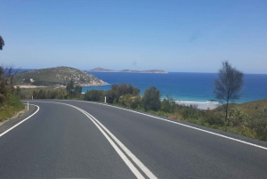 Customizable Private Tours From Melbourne With Chauffeur