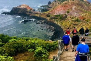 メルボルン・ラグジュアリー・プライベートツアー (最大24名)