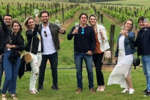 メルボルン・ラグジュアリー・プライベートツアー (最大24名)