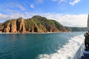 Philip Island: Dolphin and Whale Cruise