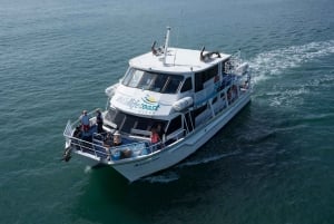 Philip Island: Dolphin and Whale Cruise