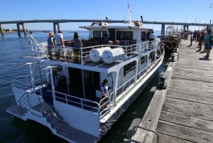 Philip Island: Delfin- und Wal-Kreuzfahrt