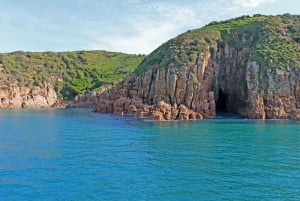 Phillip Island: 1-Hour Cape Woolamai Scenic Cruise