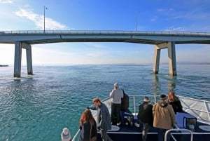 Phillip Island: 1-Hour Cape Woolamai Scenic Cruise