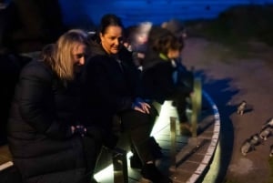 From Melbourne: Phillip Island Penguin & Nature Day Tour