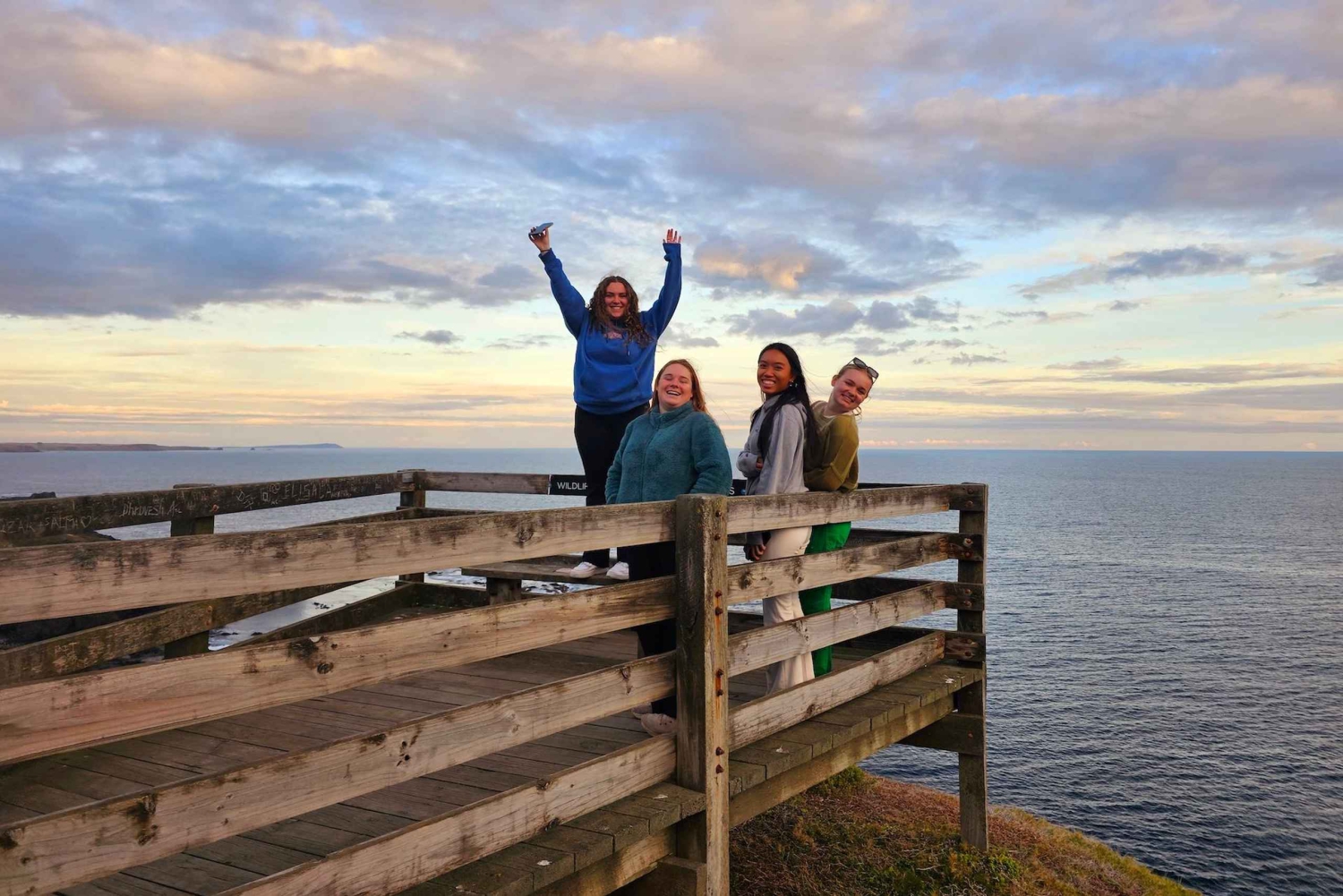 Phillip Island: Pingvinparad i gyllene timmen