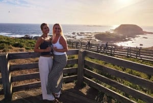 Phillip Island: Pingvinparad i gyllene timmen