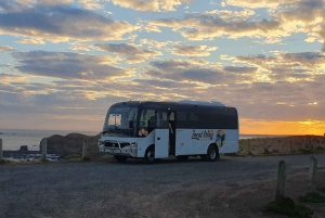 Phillip Island: Pingvinparad i gyllene timmen