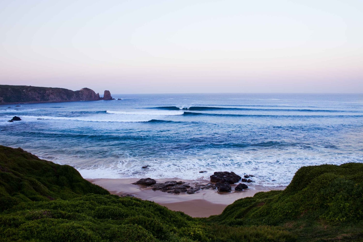 Phillip Island: Hike and Penguin Parade - 8 pax Small Tour