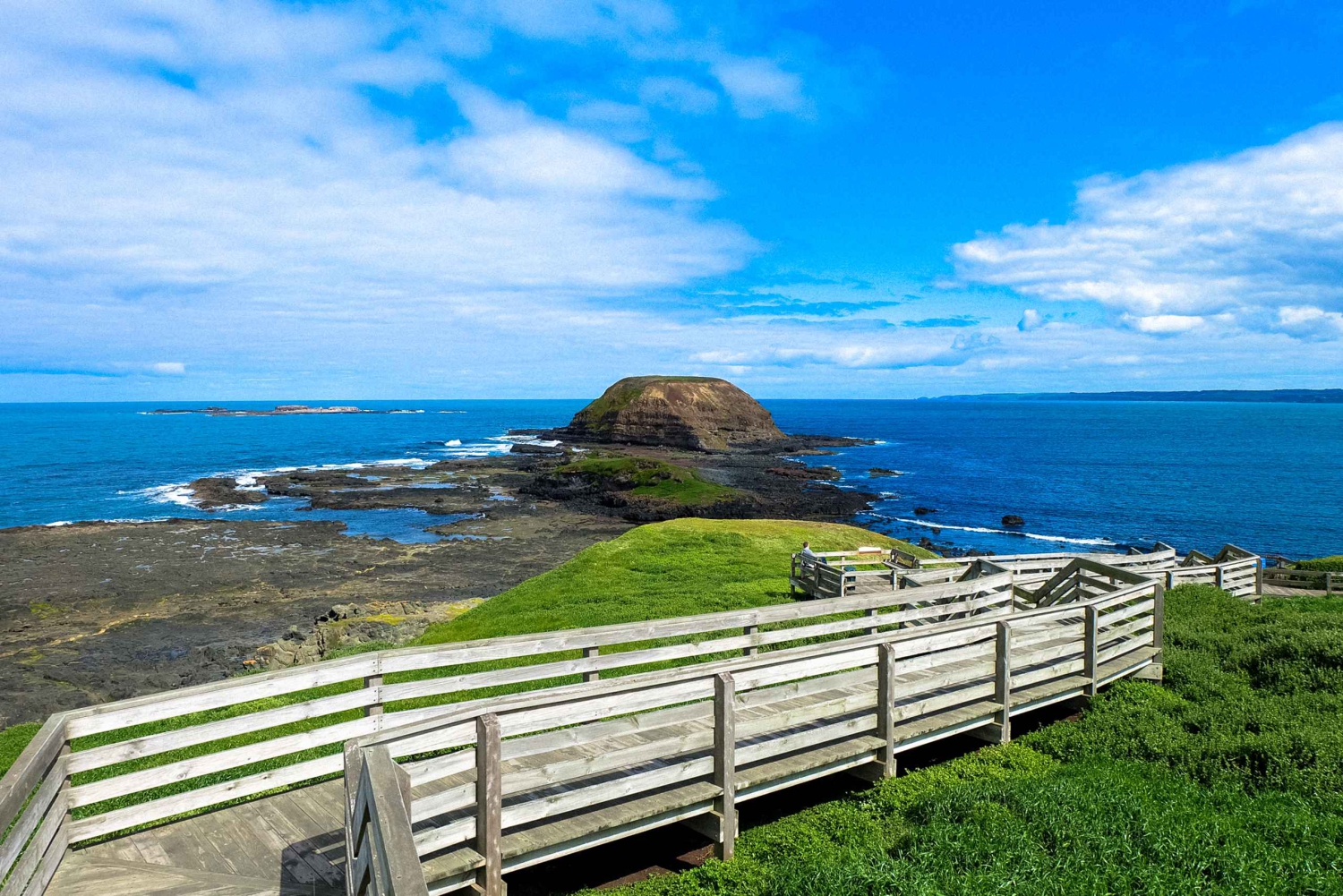 Phillip Island: Hike and Penguin Parade - 8 pax Small Tour