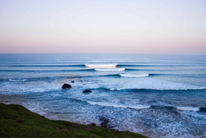 Phillip Island: Hike and Penguin Parade - 8 pax Small Tour