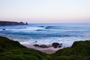 Phillip Island: Hike and Penguin Parade - 8 pax Small Tour