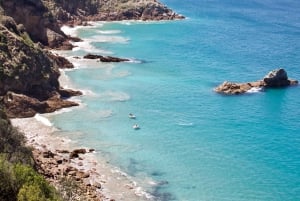 Phillip Island: Hike and Penguin Parade - 8 pax Small Tour