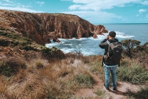 Phillip Island: Nature Hike and Penguin Parade with Guide