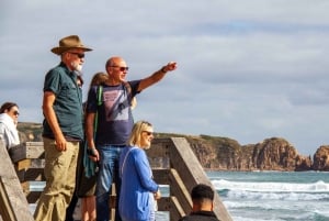 Phillip Island & Penguin Parade Midday Tour from Melbourne