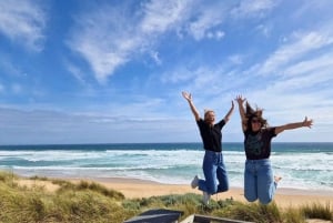 Phillip Island & Penguin Parade Midday Tour from Melbourne