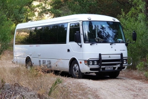 Melbourne: Private Phillip Island Penguin Parade Tours