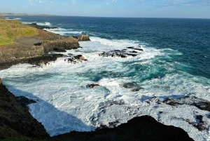 Melbourne: Private Phillip Island Penguin Parade Tours