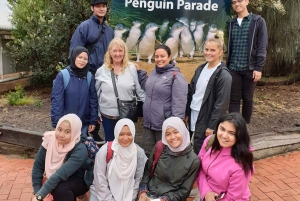 Melbourne: Private Phillip Island Penguin Parade Tours