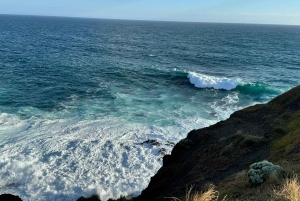 Melbourne: Private Phillip Island Penguin Parade Tours