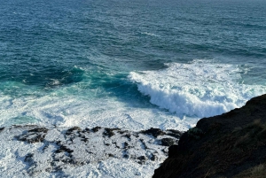 Melbourne: Private Phillip Island Penguin Parade Tours