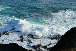 Melbourne: Private Phillip Island Penguin Parade Tours