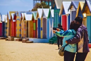 Phillip Island Penguin Parade avec un guide expert de la région