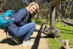Phillip Island Penguin Parade avec un guide expert de la région
