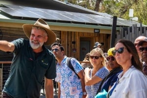 Phillip Island Penguin Parade avec un guide expert de la région