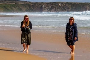 Phillip Island Penguin Parade avec un guide expert de la région