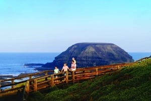 Phillip Island: Penguins and Wildlife Full-Day Tour