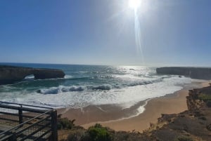 Phillip Island: Private Tour with Penguin Parade